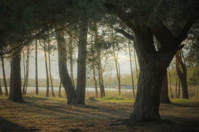 Nature Walks
